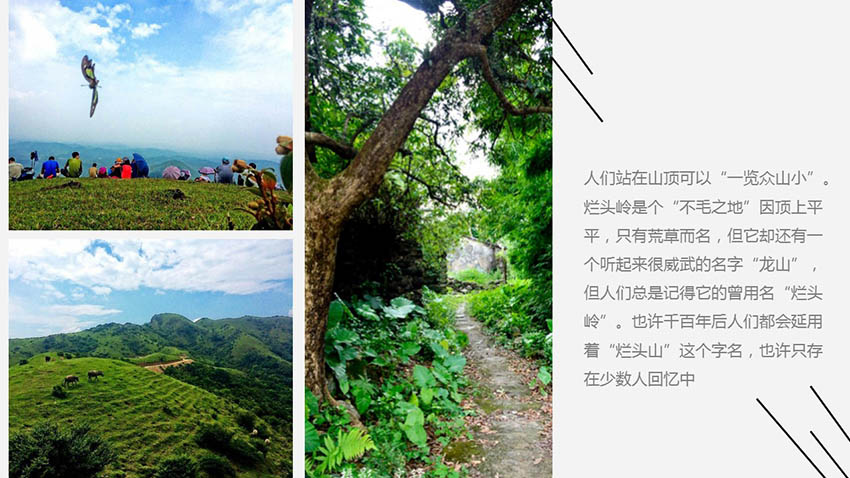 高山草甸龍頭嶺