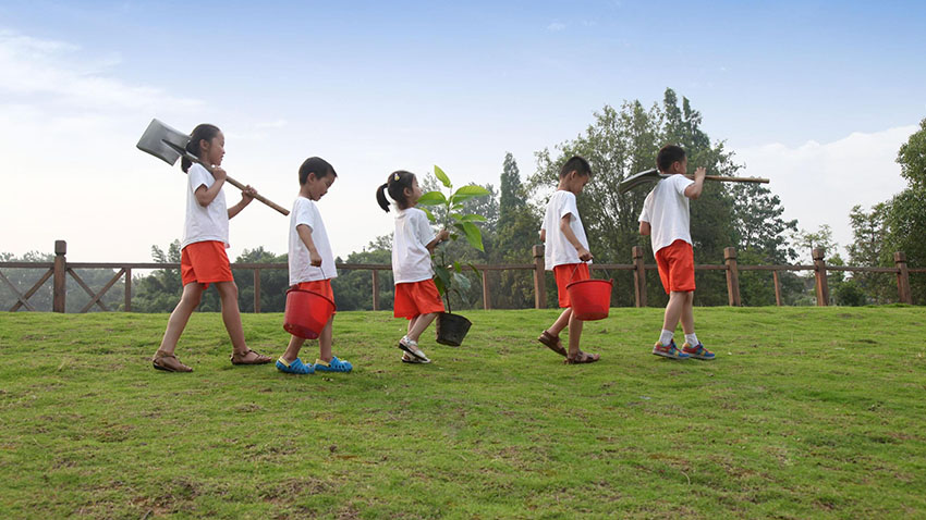 播種植樹-呵護(hù)生命成長(zhǎng)