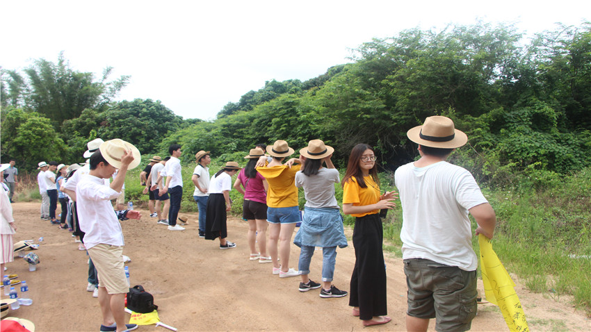 廣東六五網(wǎng)絡科技有限公司惠州巽寮灣海沙灘團建活動