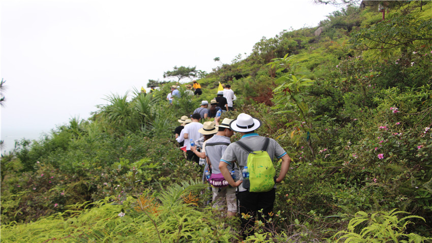 廣東六五網(wǎng)絡科技有限公司惠州巽寮灣海沙灘團建活動