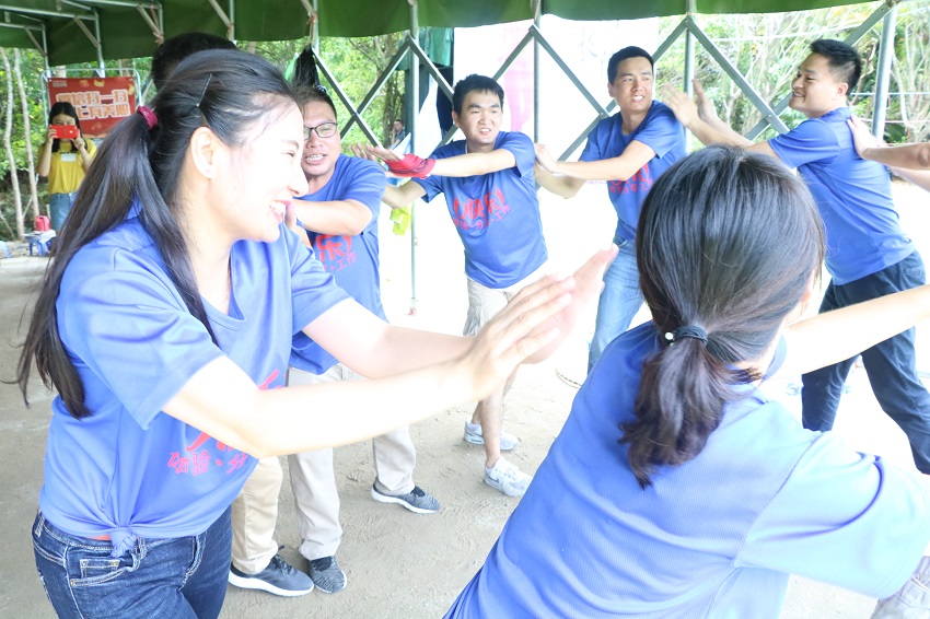 深圳華普微電子銷(xiāo)售團(tuán)隊(duì)拓展訓(xùn)練活動(dòng)取得圓滿成功