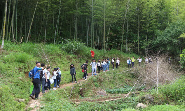 企業(yè)拓展訓練